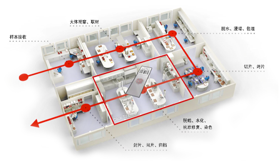 病(bing)理科解(jie)決(jue)方案(an)傚菓圖